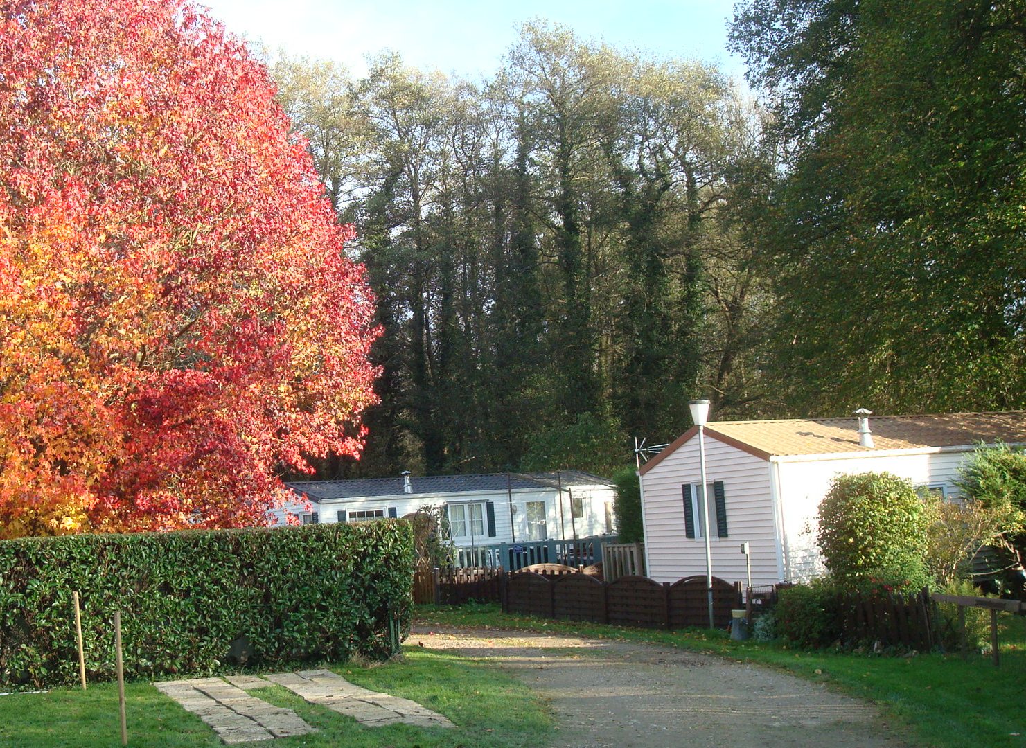 automne