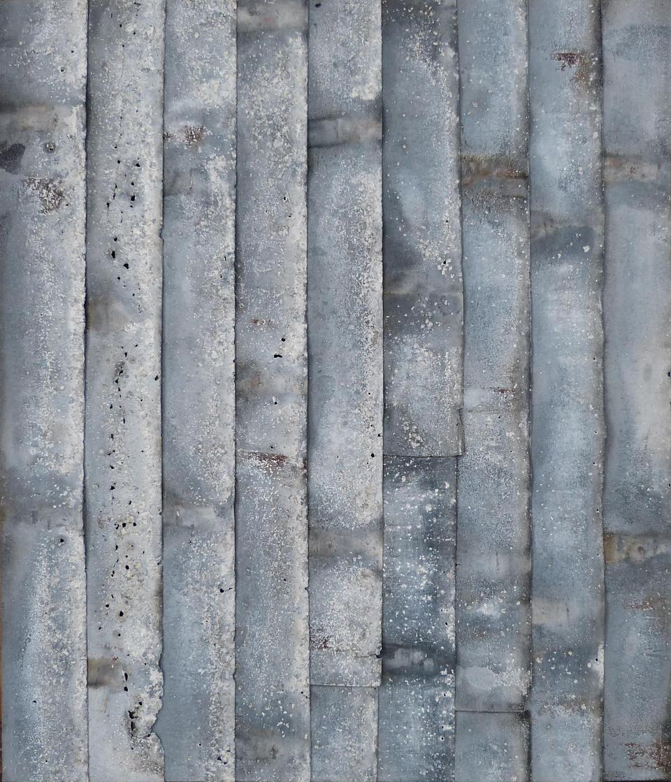 Ecorces-71-x-61-cm-Pascal-CATRY-2019-_sm