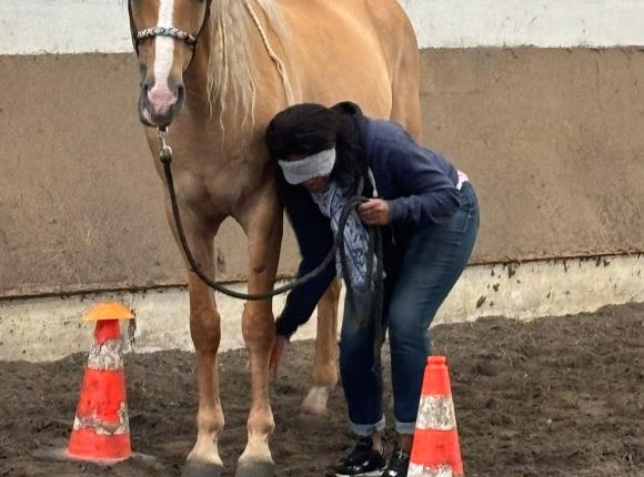 Equicoaching confiance (1)
