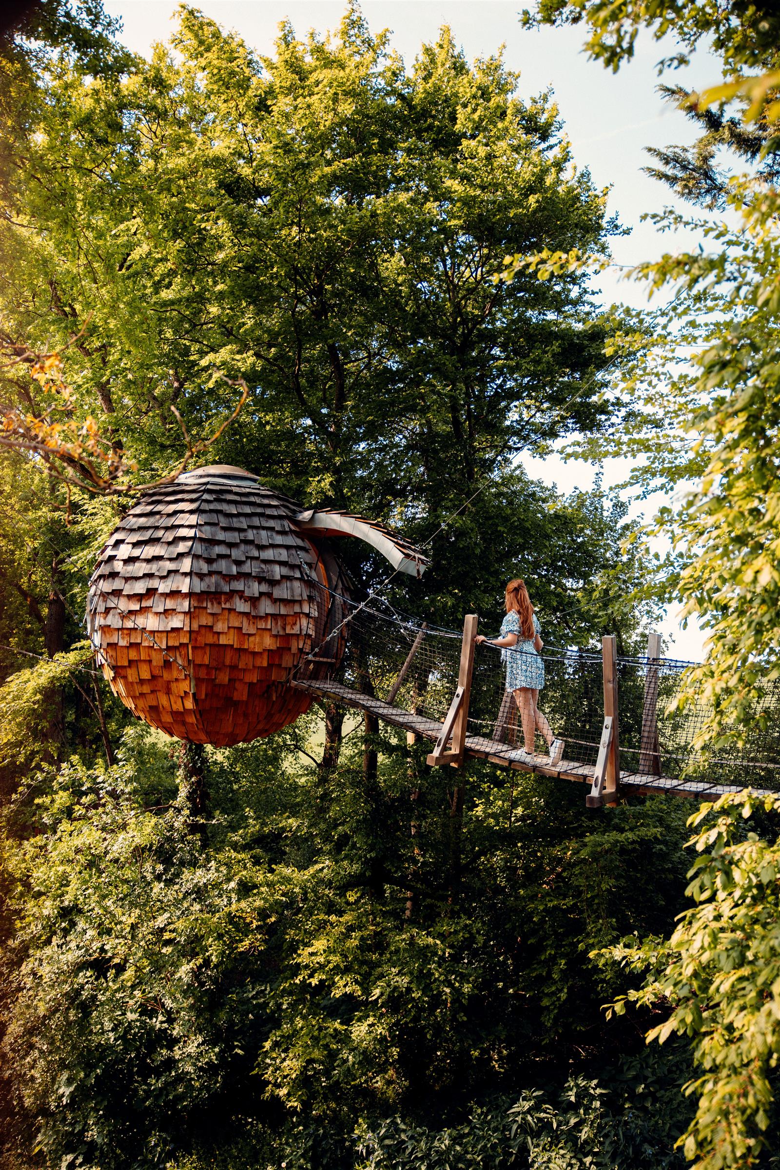 Etoilé cocoon Bois de Rosoy crédit - Elsa et Cyril Mai 2022 (1)