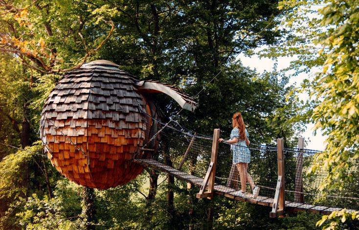 Etoilé cocoon Bois de Rosoy crédit - Elsa et Cyril Mai 2022 (1)