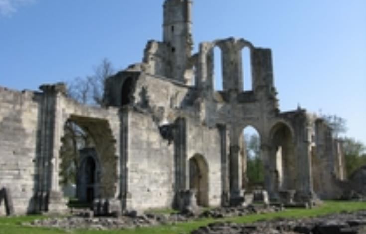 Fontaine_Chaalis_vestiges_abbaye