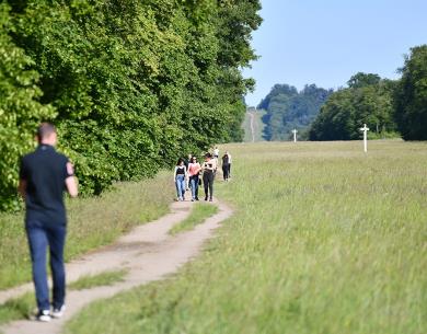Forêt de Compiègne_© ARC_2