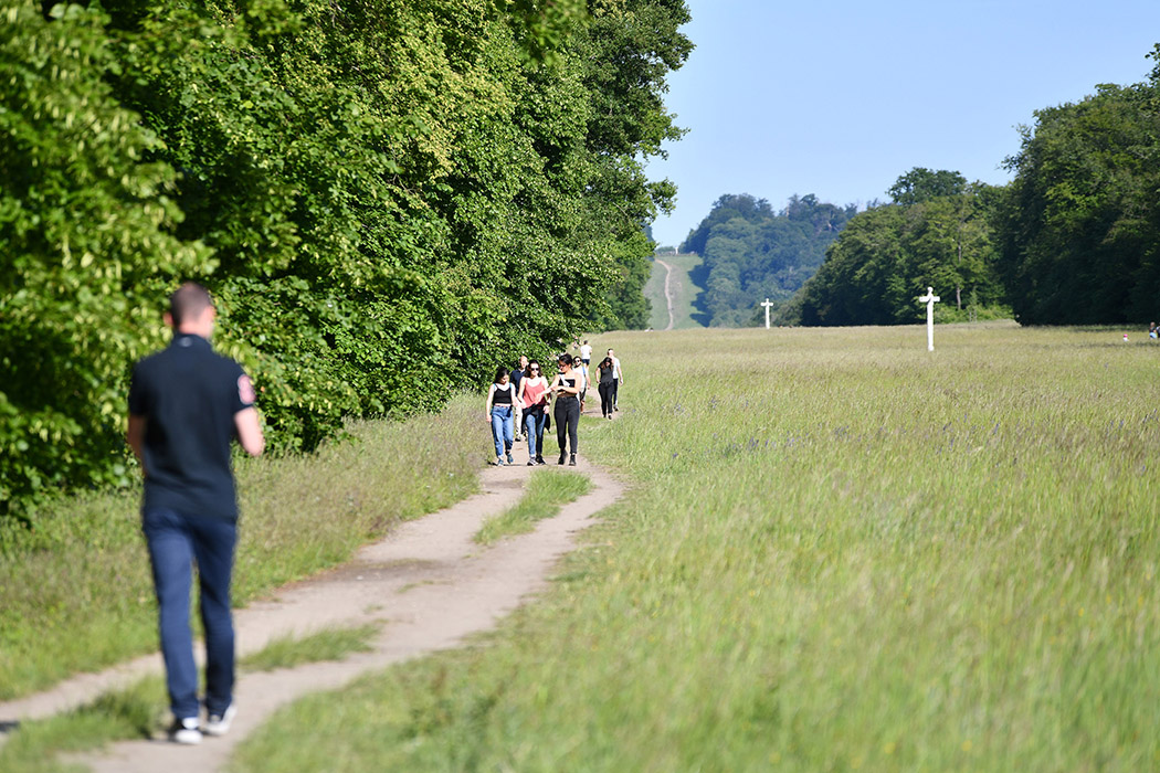 Forêt de Compiègne_© ARC_2