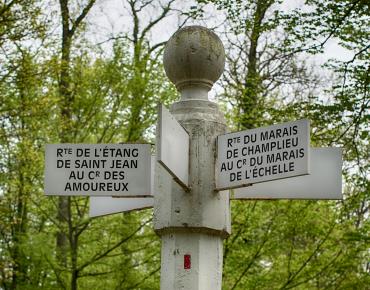 Forêt de Compiègne