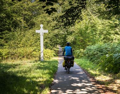 Forêt de Compiègne_© Un monde à vélo - Oise Tourisme