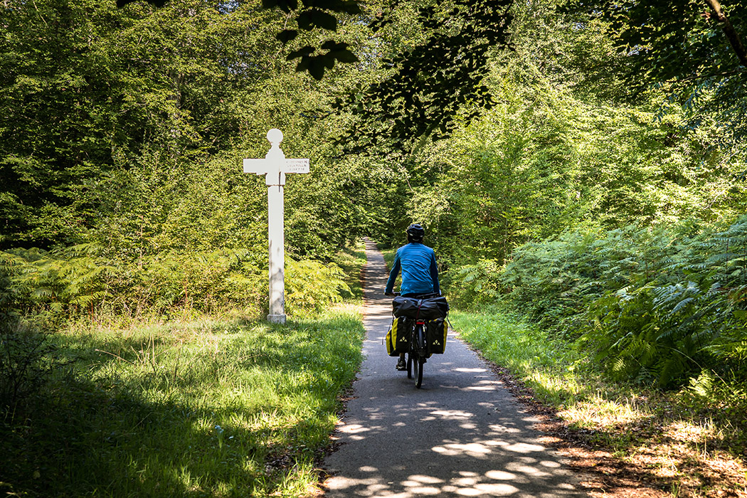 Forêt de Compiègne_© Un monde à vélo - Oise Tourisme