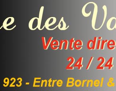 Fraise-des-Vallees