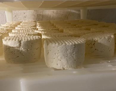 Fromage Ferme de la Chapelle Saint-Jean (2)
