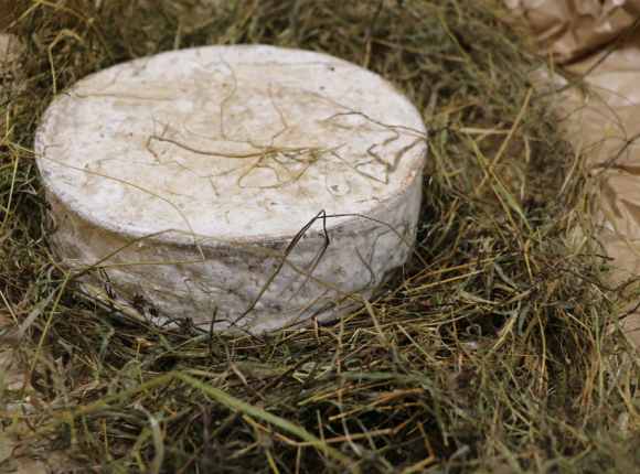 Fromagerie_Beaudoin_JM