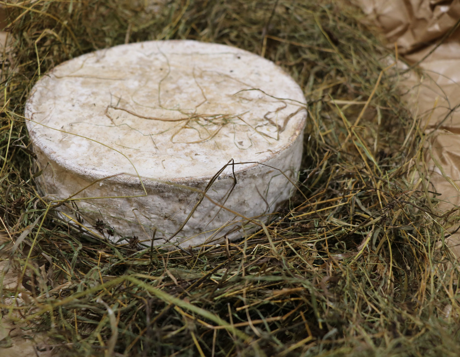 Fromagerie_Beaudoin_JM
