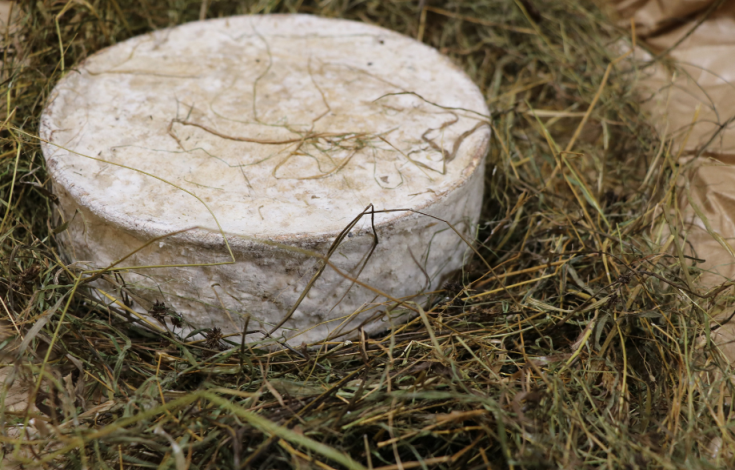 Fromagerie_Beaudoin_JM