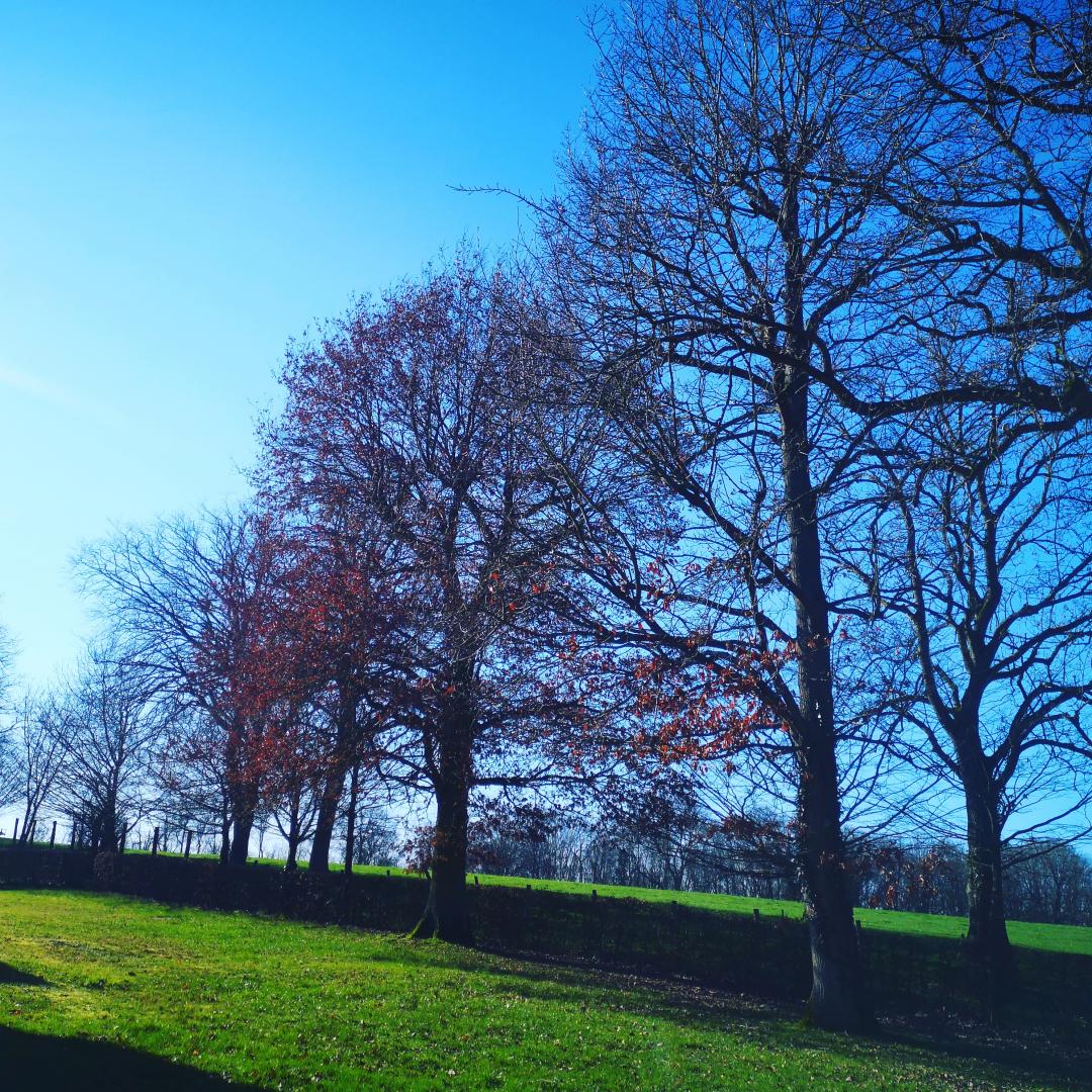 Le Gîte de l'Antre de Saint