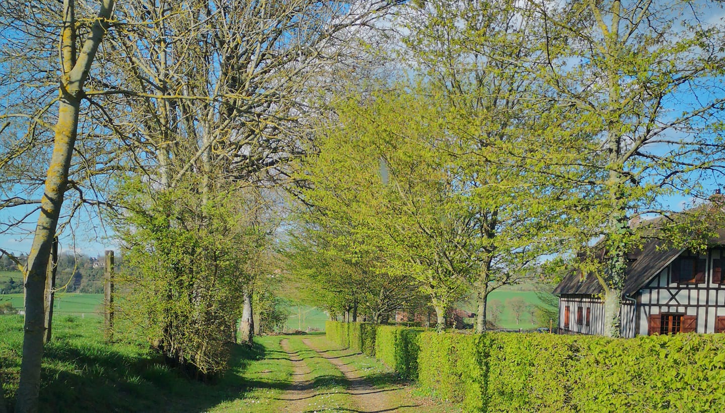Le Gîte de l'Antre de Saint