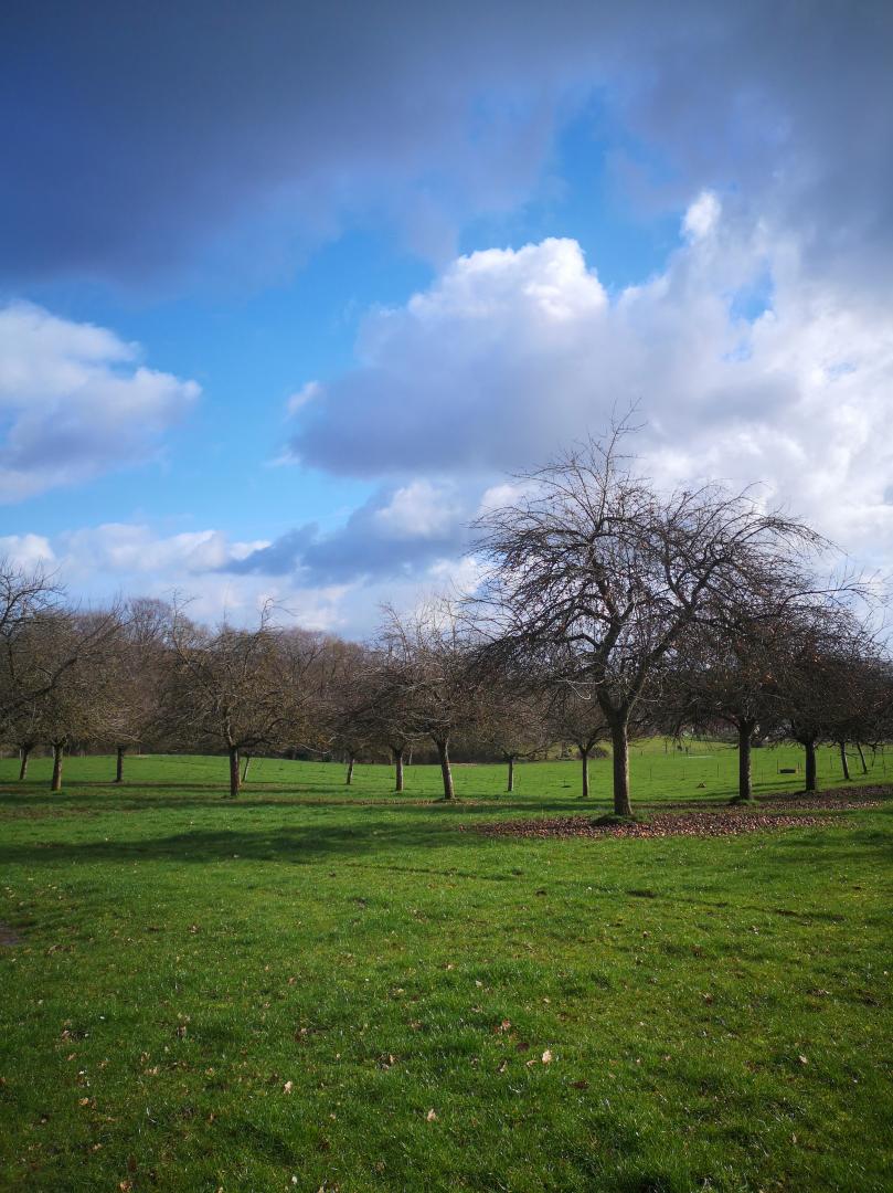Le Gîte de l'Antre de Saint