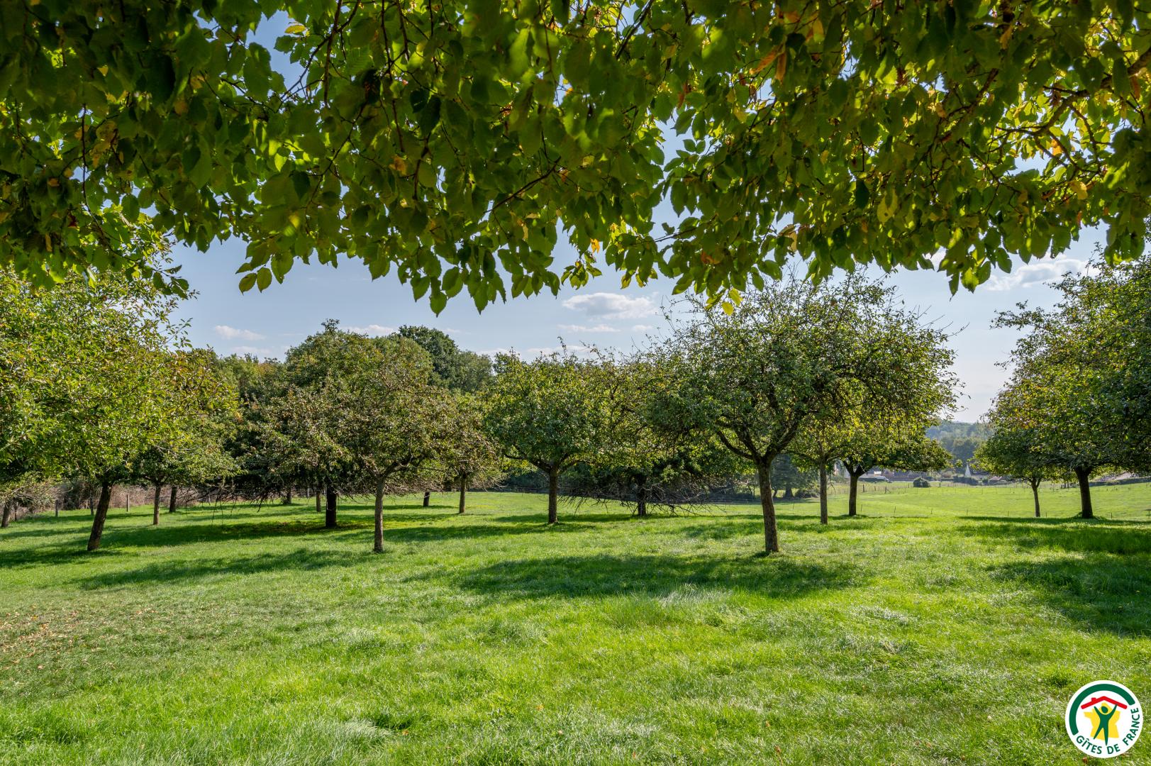 Le Gîte de l'Antre de Saint