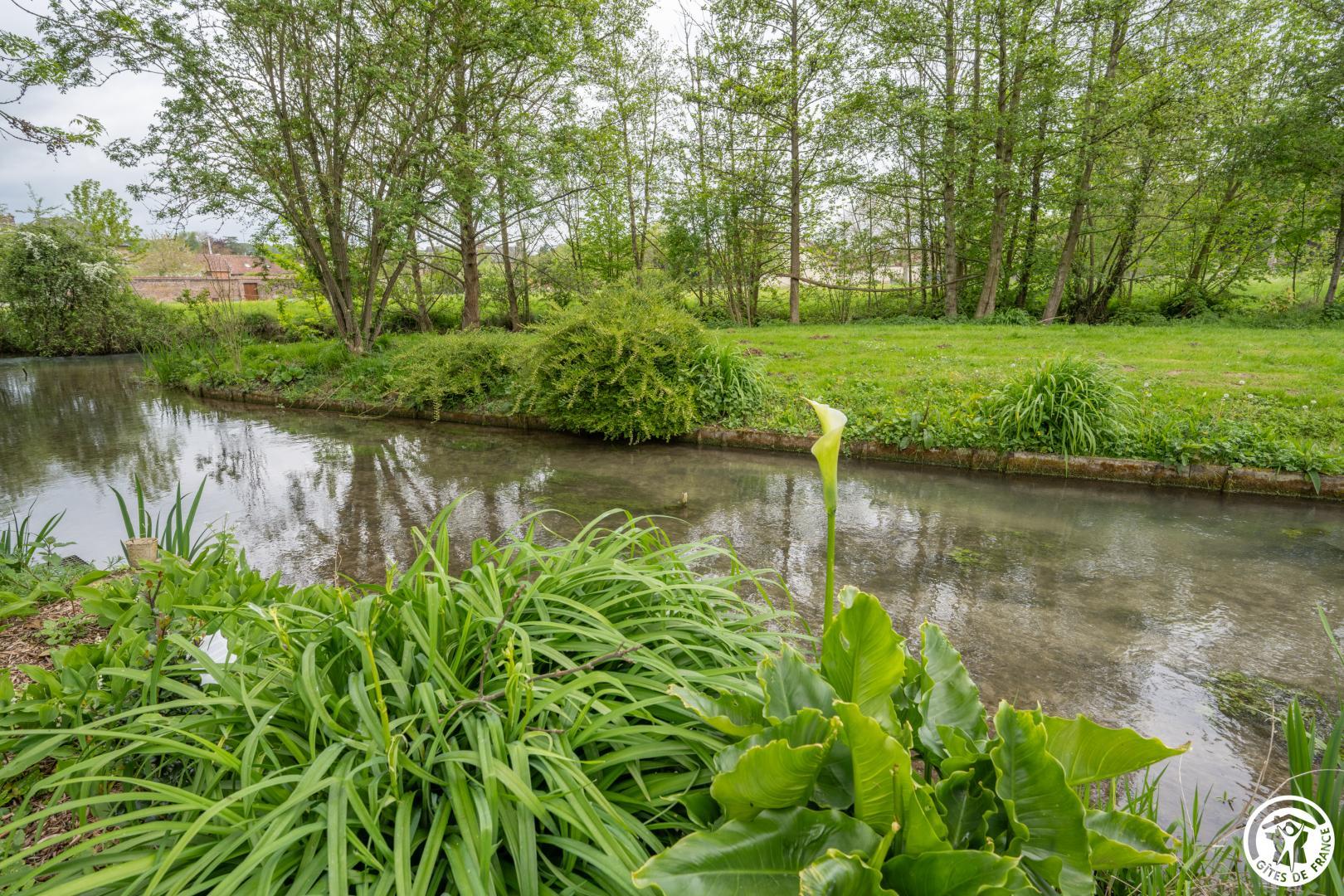 Les berges fleuries de Jojo