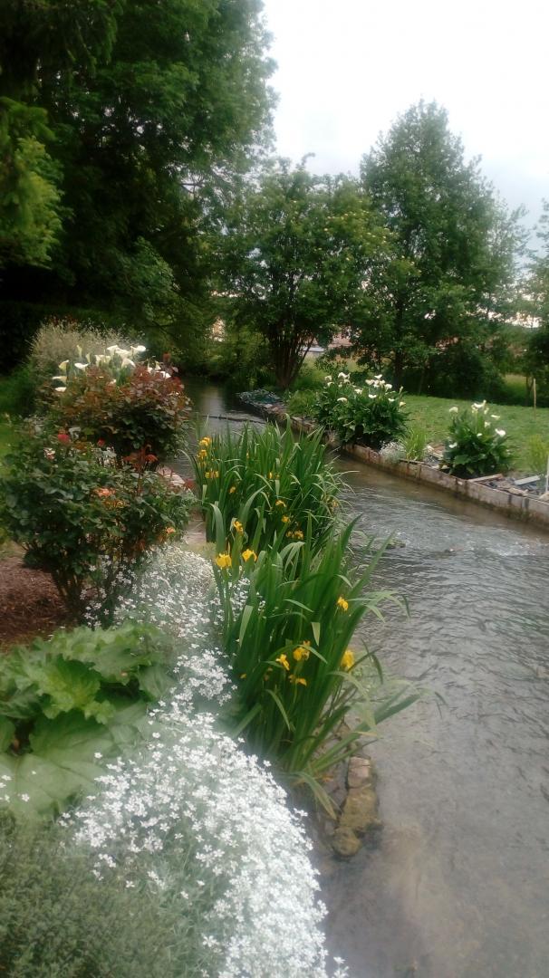 Les berges fleuries de Jojo