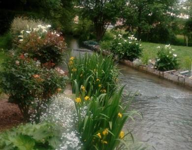 MILLY SUR THERAIN Les berges fleuries de Jojo