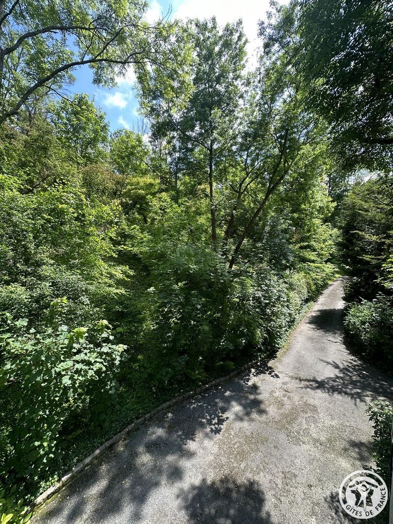 La cabane magique d'Harry