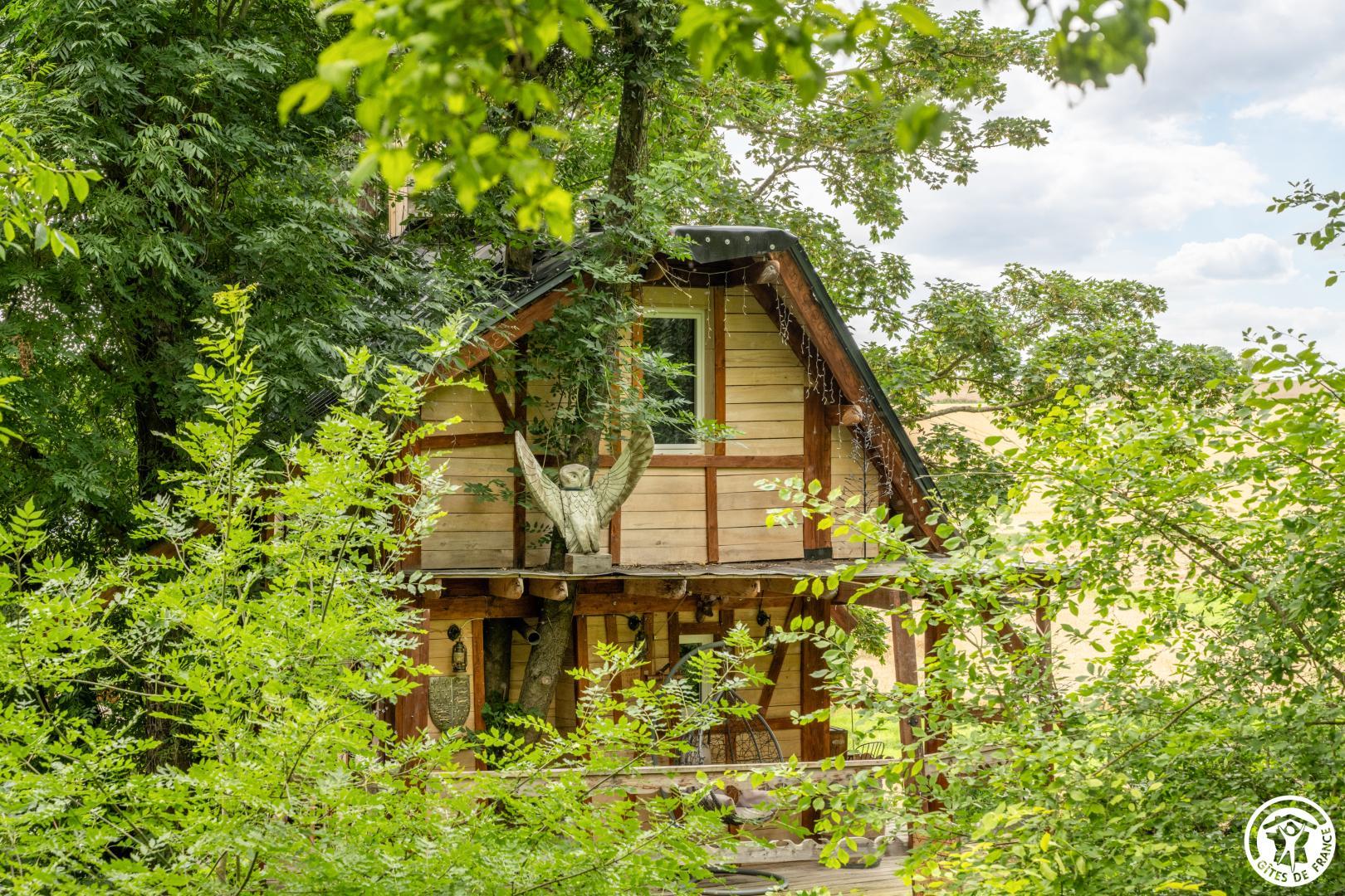 La cabane magique d'Harry