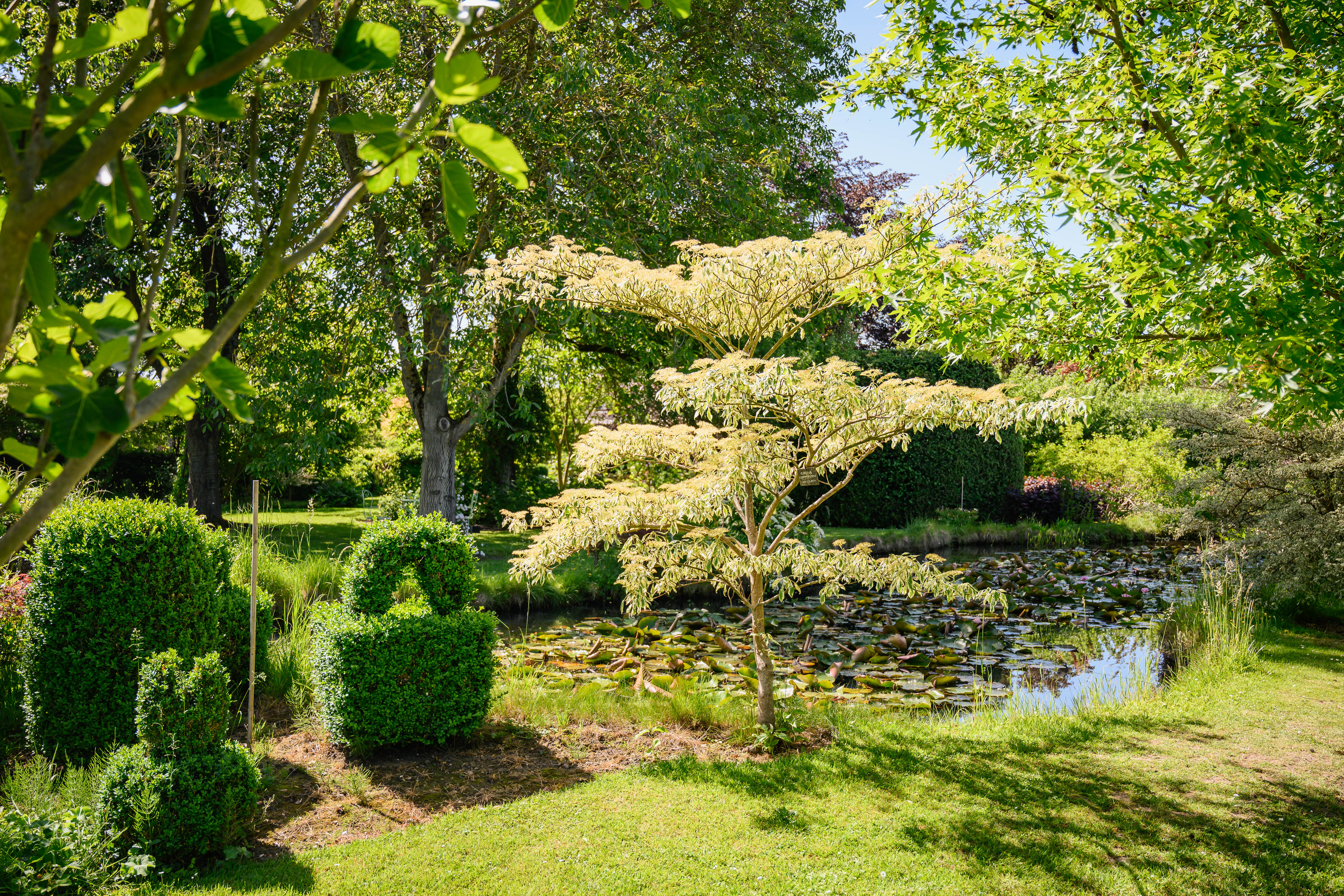 Jardin du Brûle