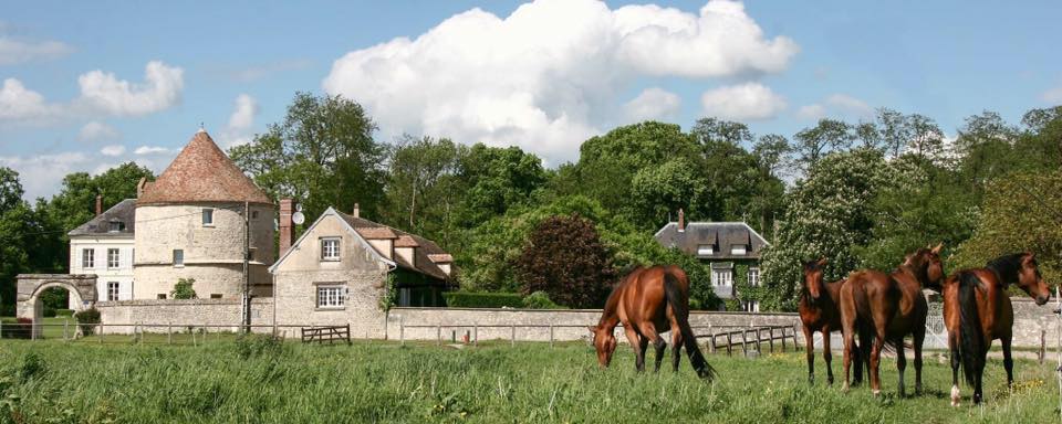 Haras des Etangs