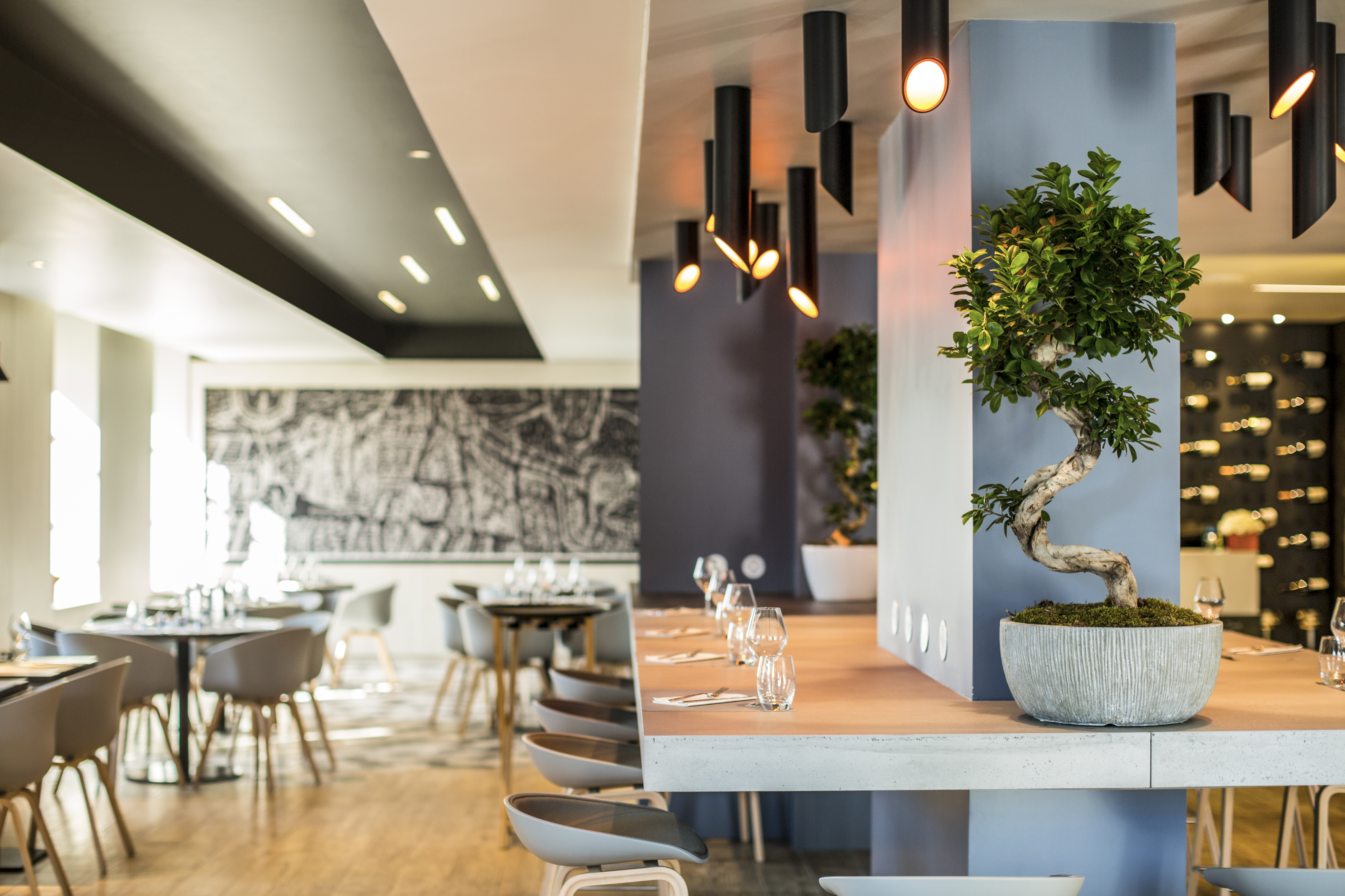Belvacus Restaurant