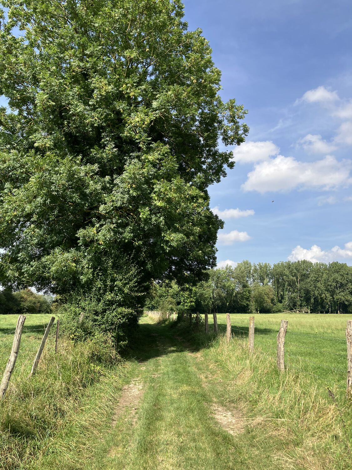 La Source de la Noye, Breteuil - photo 3