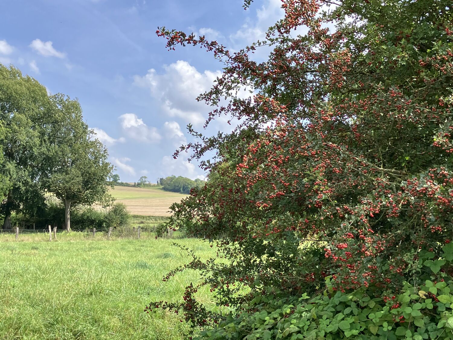 La Source de la Noye, Breteuil - photo 2
