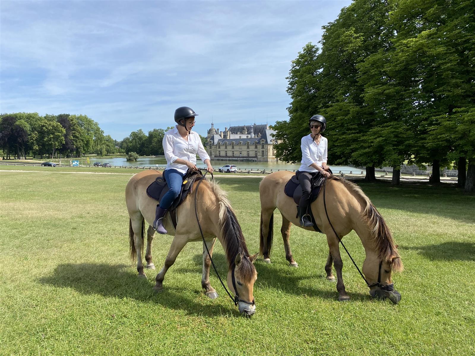 Balade en Henson à Chantilly