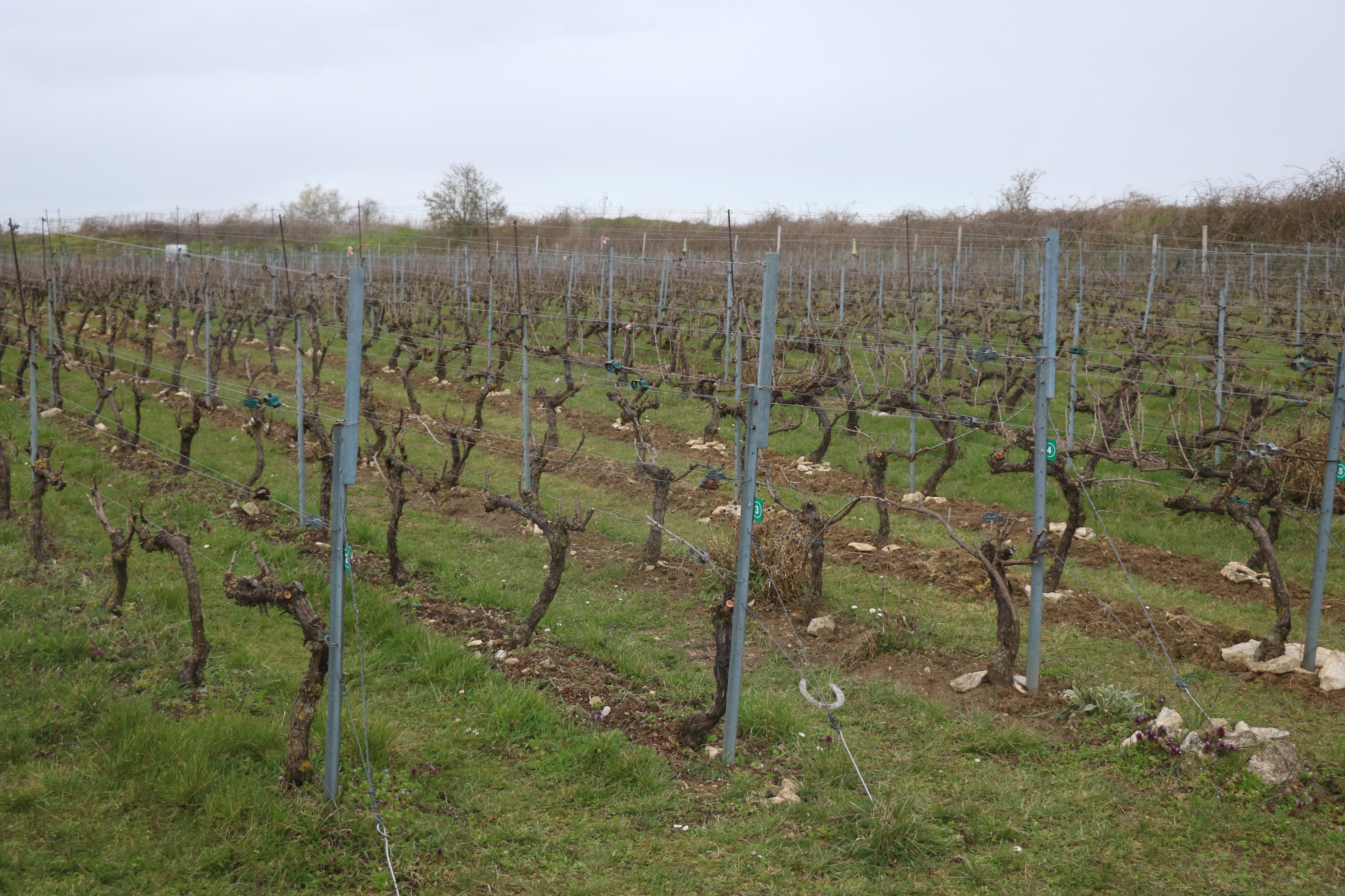 Gouvieux - Par mont et par vaux, chez les godviciens, Gouvieux - photo 3