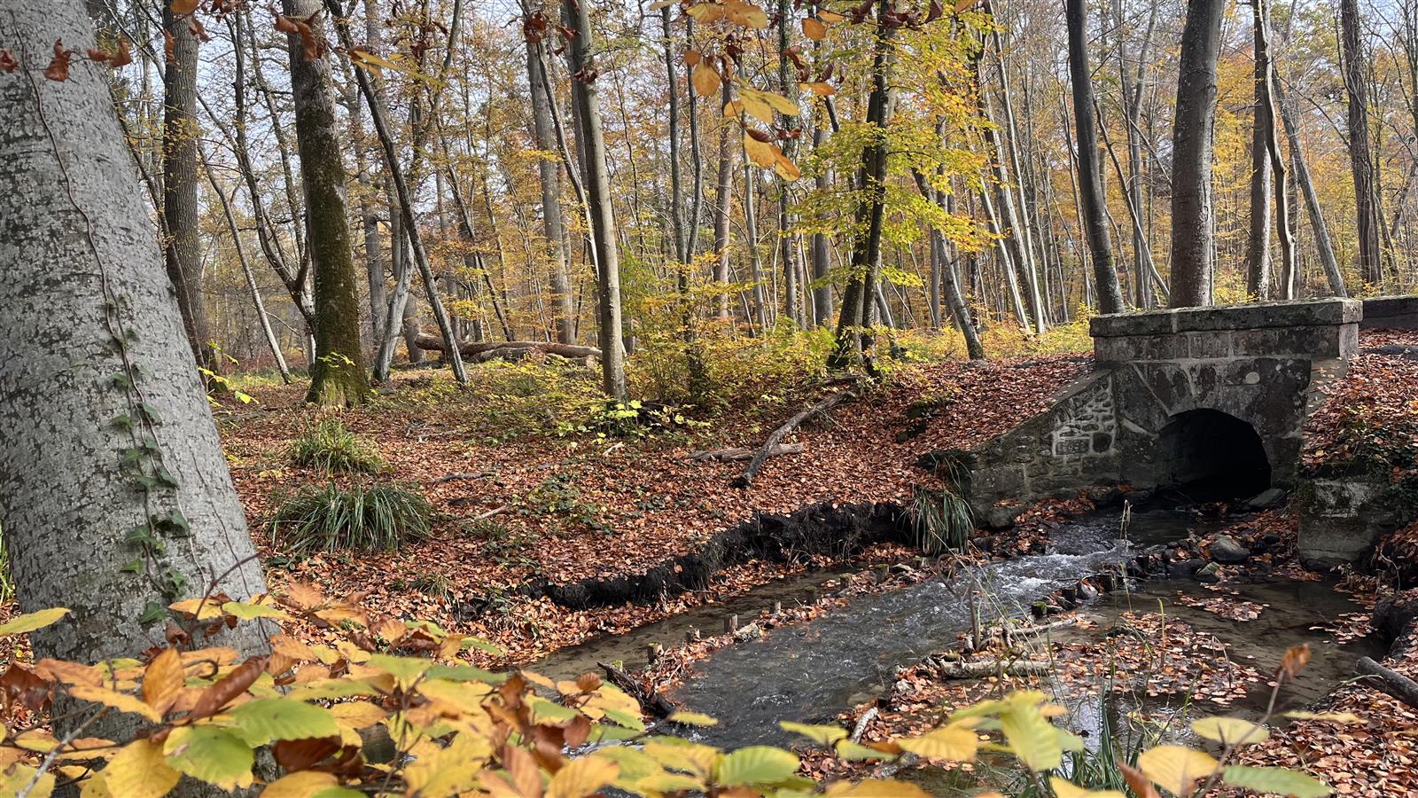 La Promenade des Moines en automne