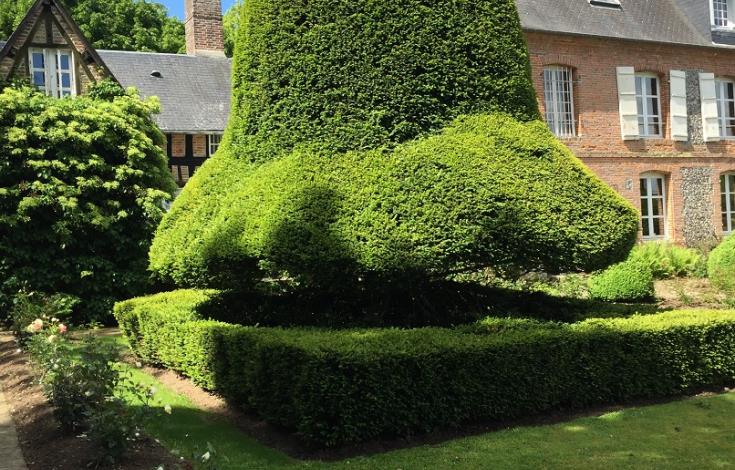 jardin des ifs Gerberoy