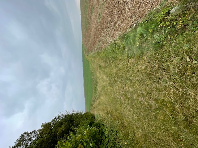 Le Plateau et le Fond des Vallées, Laversines - photo 2