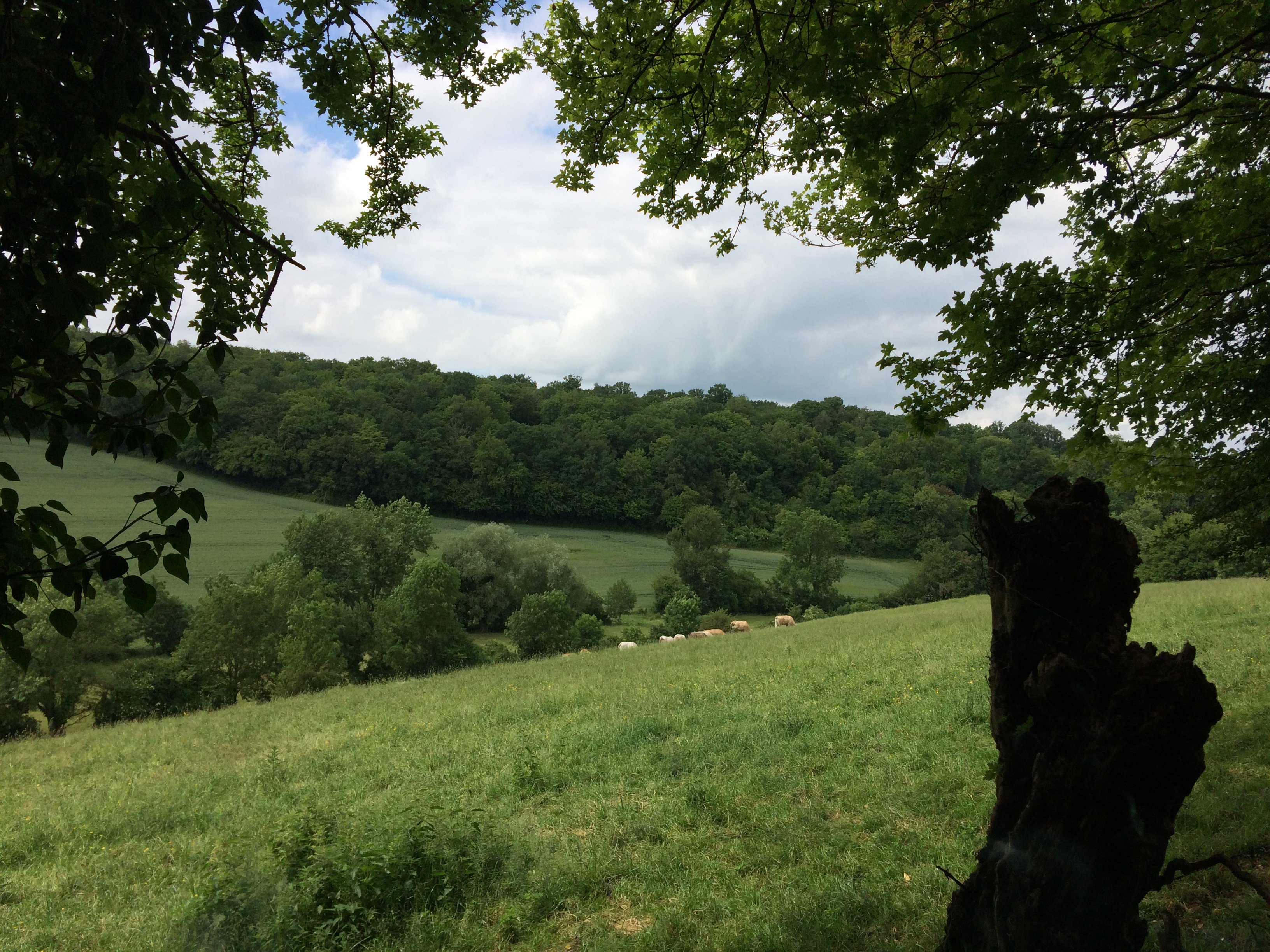 Balade d'Histoire et d'histoires