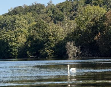 JP Racing, balade en bateau sur l'Oise