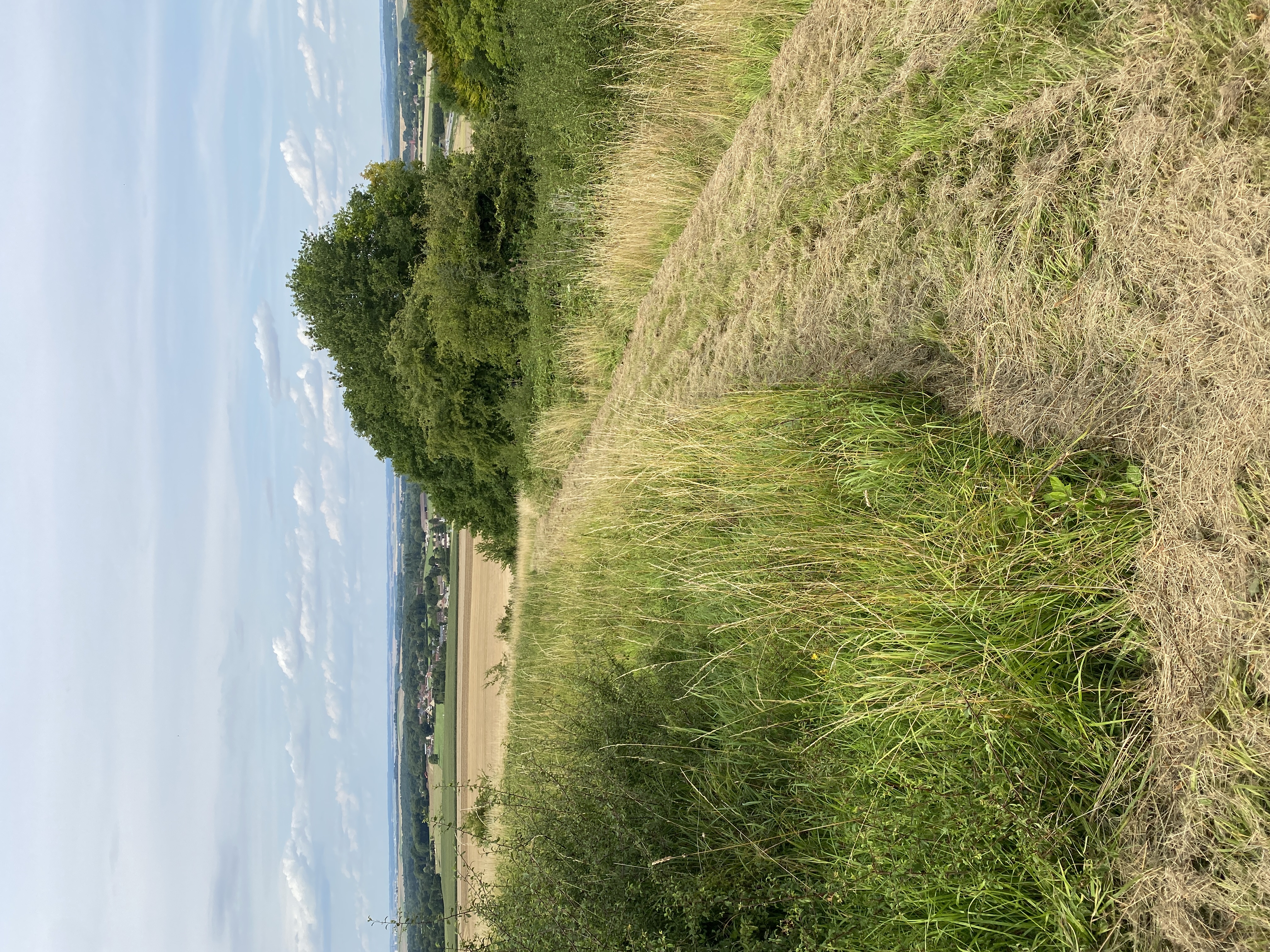 Les larris d'Auteuil