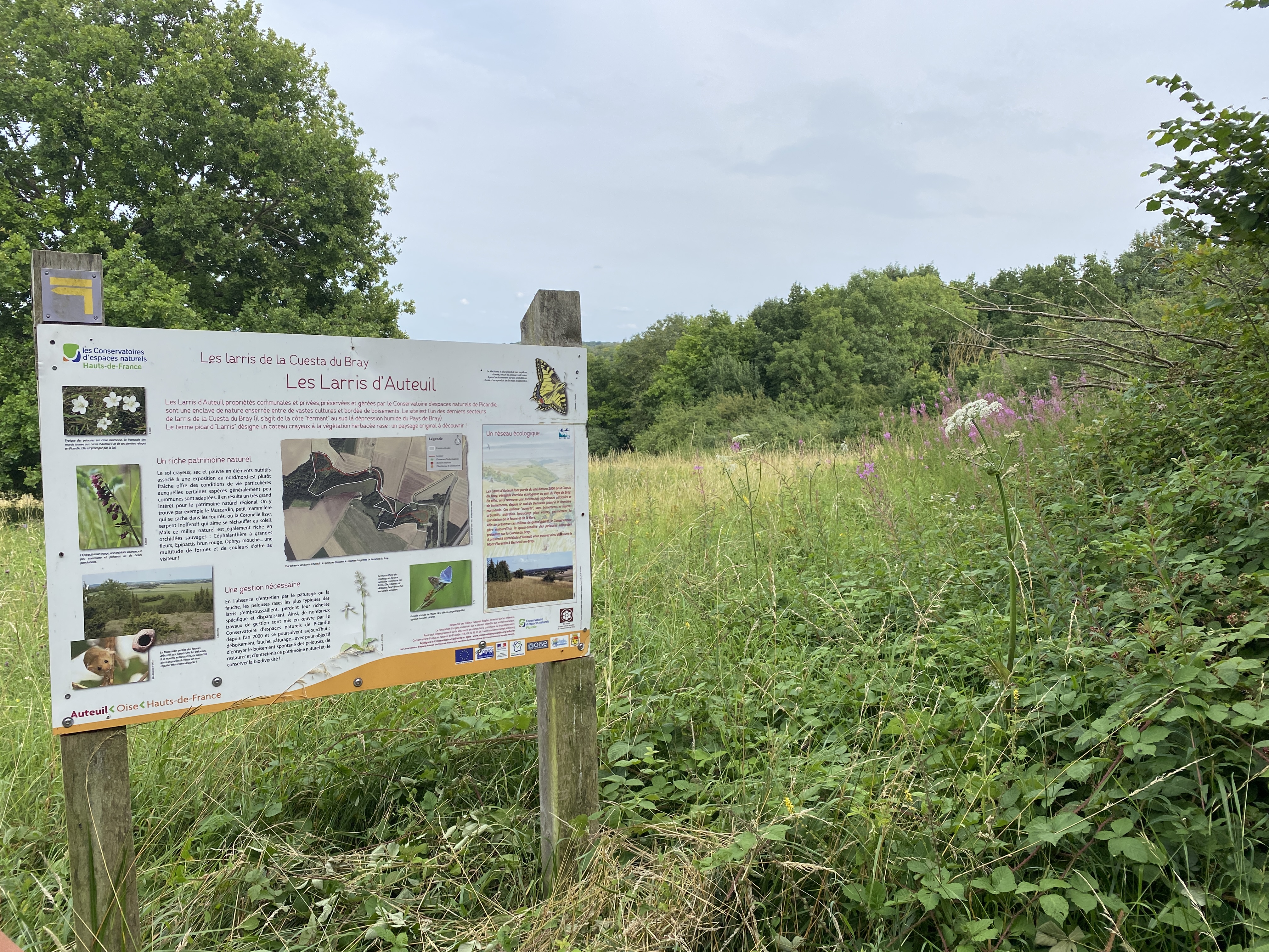 Les larris d'Auteuil, Auteuil - photo 2