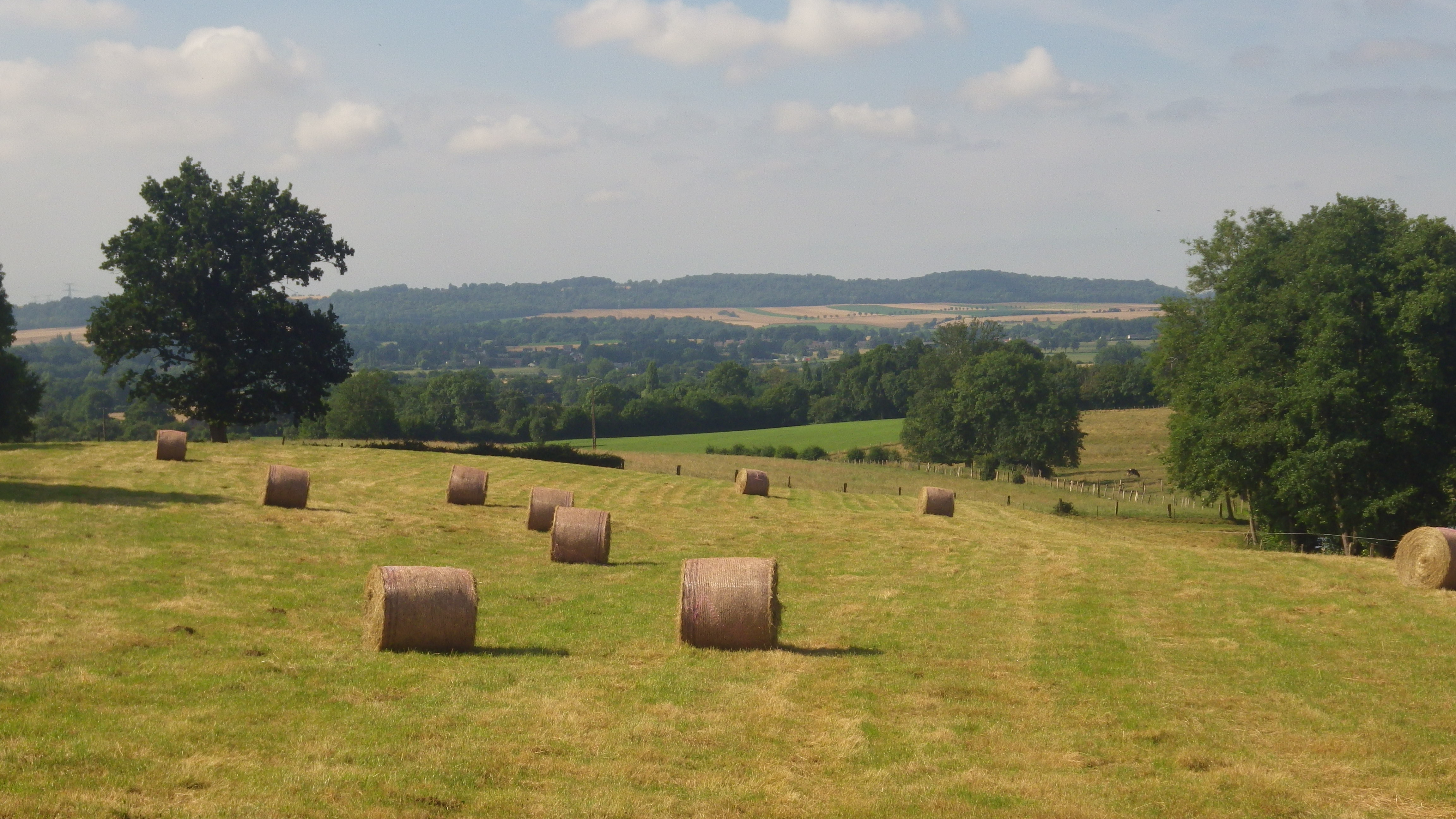 Le sentier des Larris