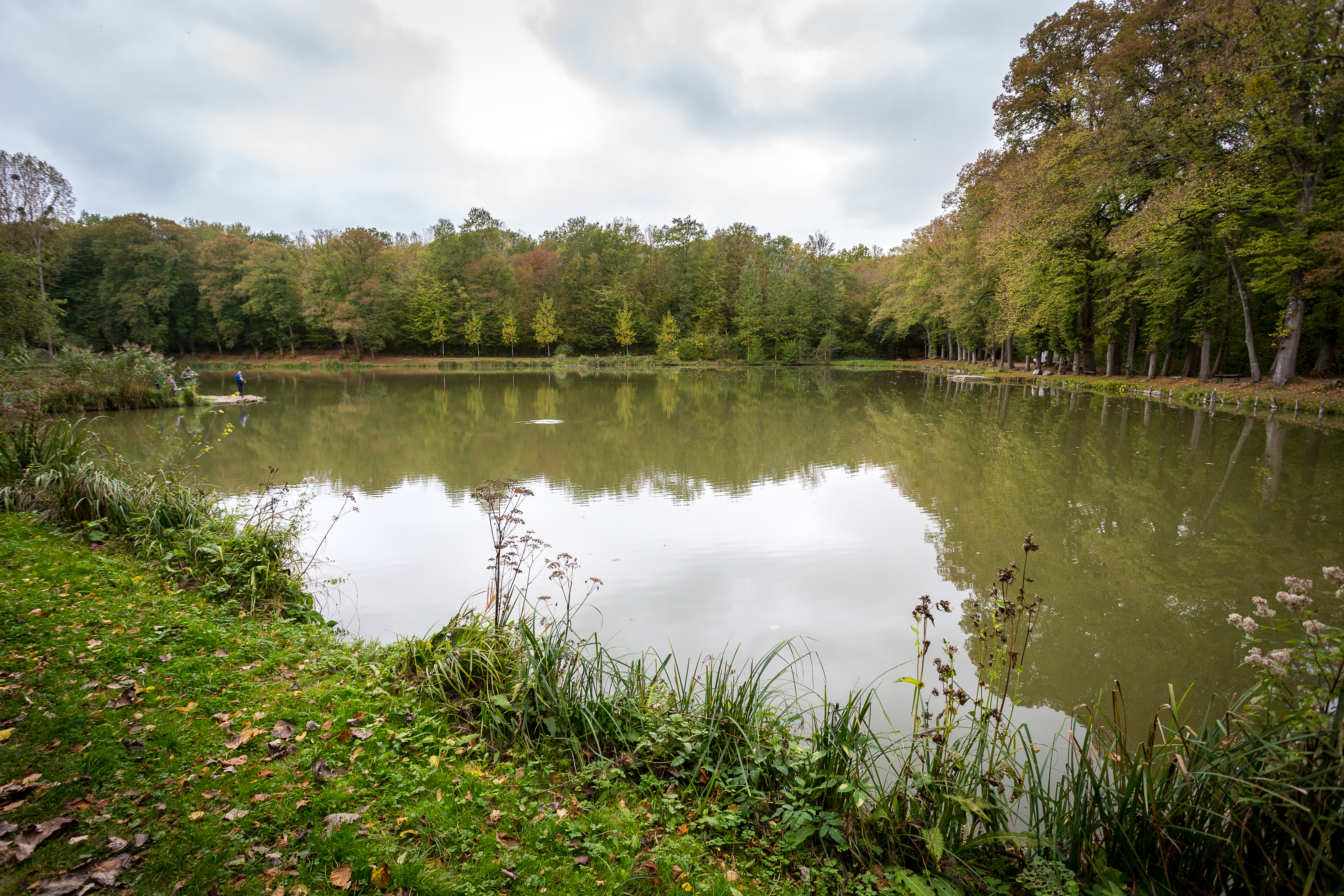 Forêt domaniale de Hez-Froidmont