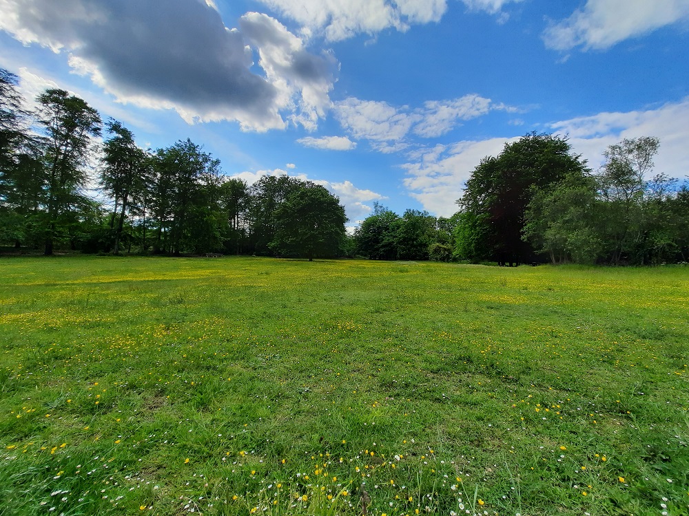 La Plumette, La Neuville-en-Hez - photo 2