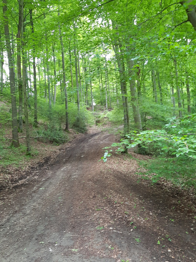 La Plumette, La Neuville-en-Hez - photo 3