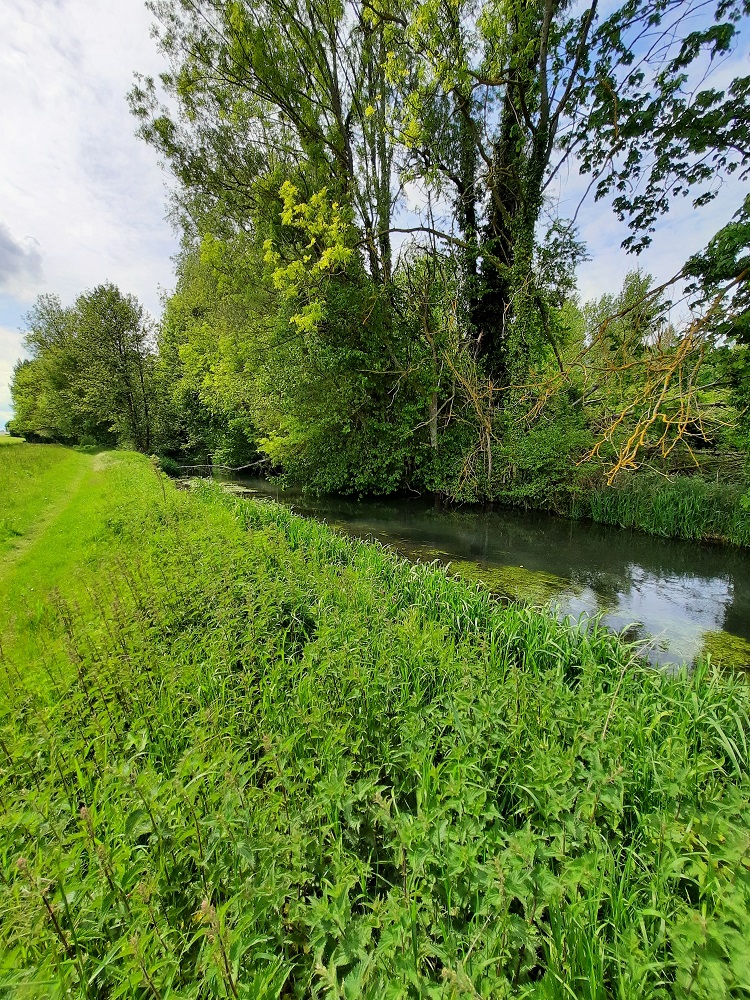 La vallée de la Brèche, Litz - photo 3