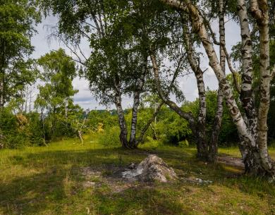 Le Coteau de la Garenne_Creil_Zone natura 2000