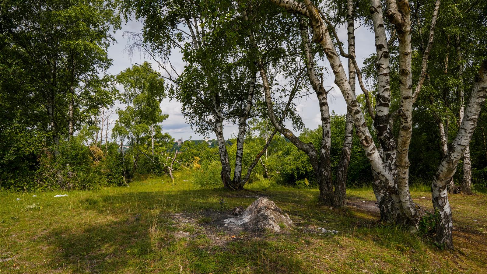 Le Coteau de la Garenne_Creil_Zone natura 2000