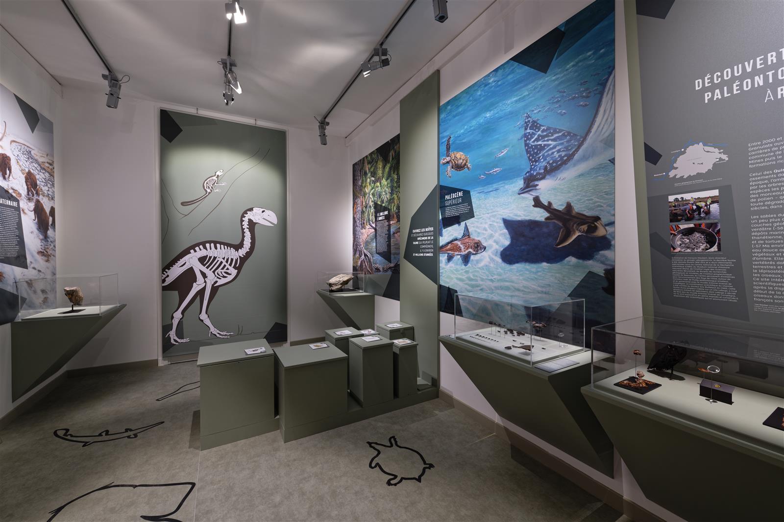 Musée Vivenel_Salle Préhistorique_© Edouard Bernaux - ARC (6)