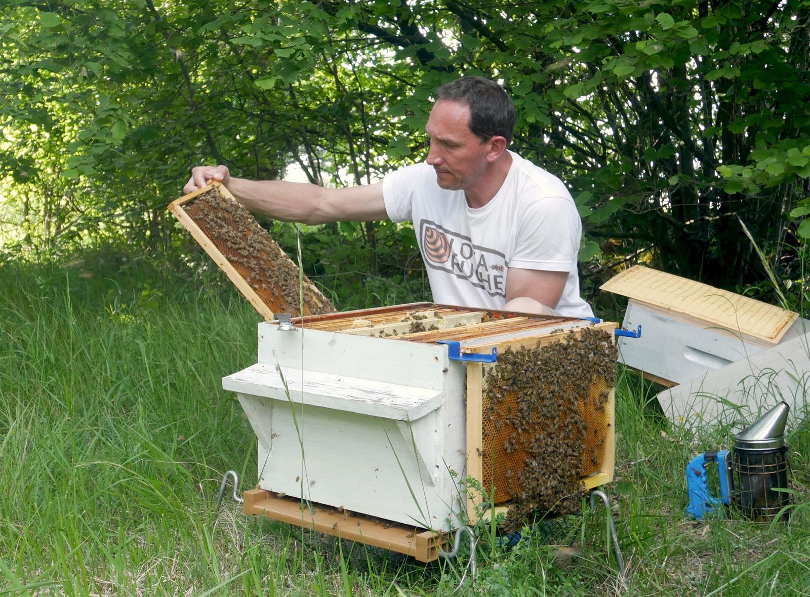 Une visite de printemps