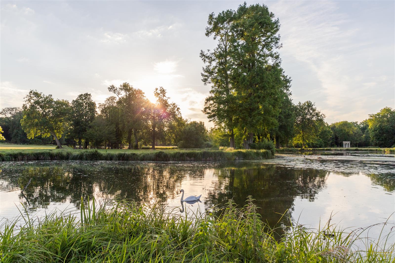 PARC_CHATEAU_CHANTILLY ©Thibault Charpentier