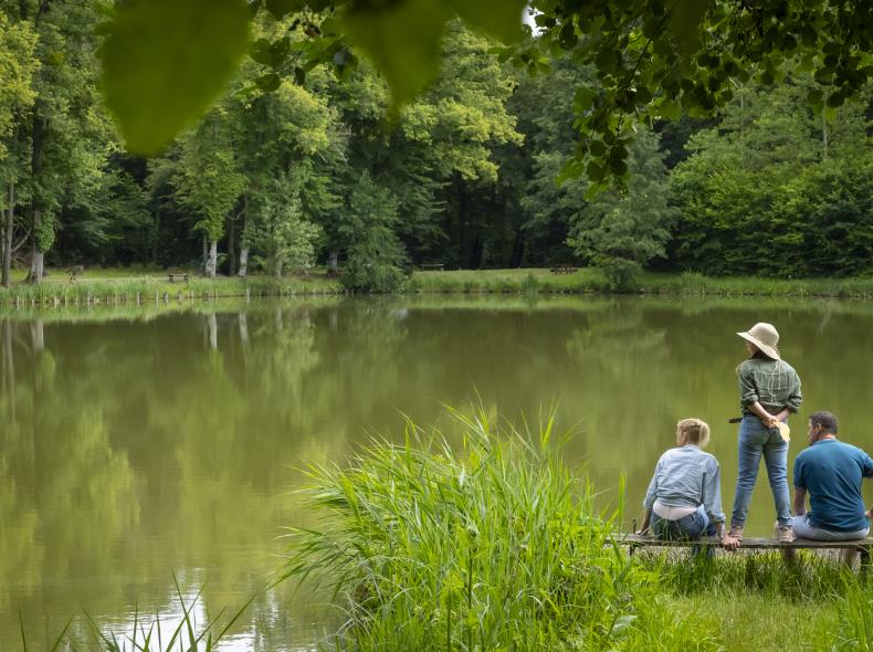 Forêt de Hez